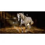 Glasdekor Nástěnné hodiny 30x60cm bílý kůň ve stáji Materiál: plexi
