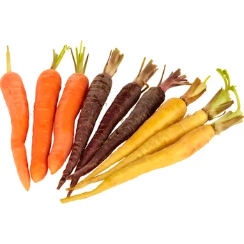 Mrkev Baby barevná s natí 200g