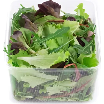 Salát Mesclun, vanička 125g