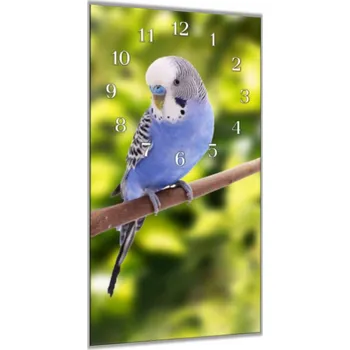 Hodiny Glasdekor Nástěnné hodiny 30x60cm andulka vlnkovaná modrá Materiál: plexi