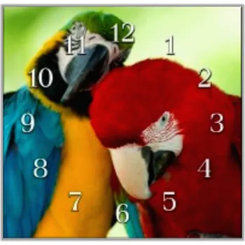 Hodiny Glasdekor Nástěnné hodiny 30x30cm tulící se papoušek ara Materiál: plexi