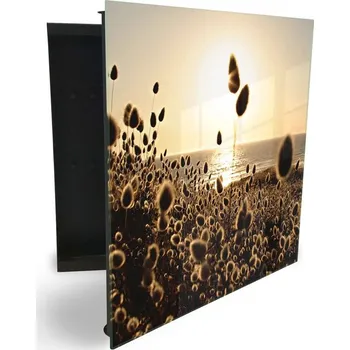 Skříňka na klíč Glasdekor skříňka na klíče - traviny v západu slunce u moře Otevírání: Pravé, Barva skříňky: Černá