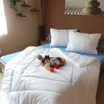 Přikrývka Klasik + 2x polštář Klasik 200x220 Velikost polštáře: 50x70