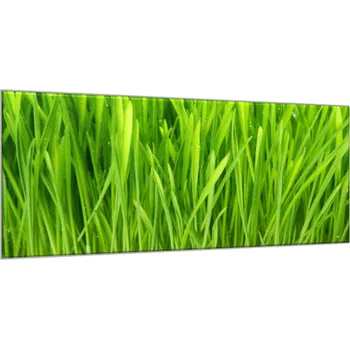 Obraz Glasdekor Obraz skleněný detail zelená tráva Rozměry-obdélník V/Š: 30 x 40 cm