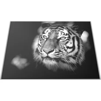 Kuchyňské prkénko Glasdekor Skleněné prkénko s motivem hlava tygra Prkénko: 30x20cm