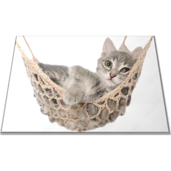 Kuchyňské prkénko Glasdekor Skleněné prkénko šedé kotě v sítí Prkénko: 30x20cm