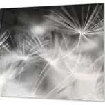 Glasdekor Ochranná deska do kuchyně černo bílé chmýří Rozměr V/Š: 40x40 cm, Lepení na zeď: S lepením na zeď