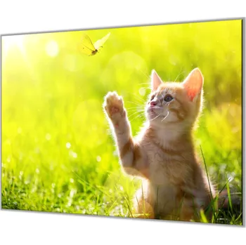 Kuchyňské prkénko Glasdekor Ochranná deska do kuchyně kotě a motýl Rozměr V/Š: 52x60 cm, Lepení na zeď: Bez lepení na zeď