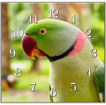 Hodiny Glasdekor Nástěnné hodiny 30x30cm papoušek alexandr čínský Materiál: plexi