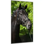 Glasdekor Nástěnné hodiny 30x60cm černý holandský plnokrevník Materiál: plexi