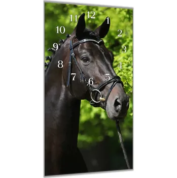 Hodiny Glasdekor Nástěnné hodiny 30x60cm černý holandský plnokrevník Materiál: plexi