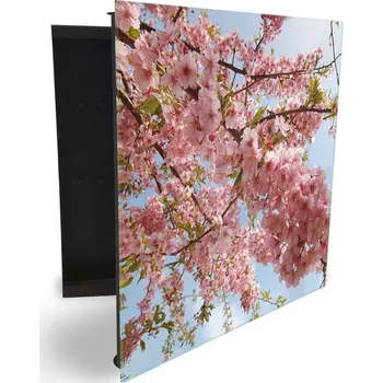 Skříňka na klíč Glasdekor skříňka na klíče - rozkvetlé větve růžových květů Otevírání: Levé, Barva skříňky: Bílá