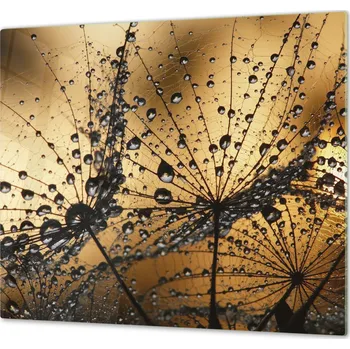 Glasdekor Ochranná deska odkvetla pampeliška s rosou Rozměr V/Š: 60x70 cm, Lepení na zeď: S lepením na zeď