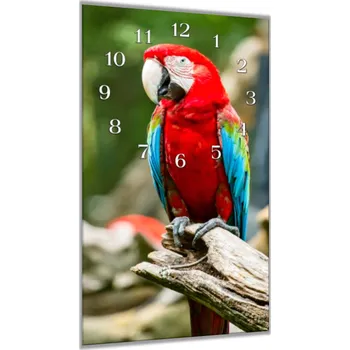 Hodiny Glasdekor Nástěnné hodiny 30x60cm papoušek ara arakanga Materiál: plexi