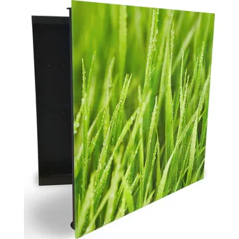 Skříňka na klíč Glasdekor skříňka na klíče - detail zelené jarní trávy Otevírání: Pravé, Barva skříňky: Bílá