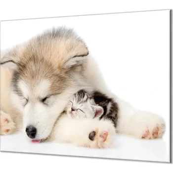 Příslušenství pro sporák Glasdekor Ochranné sklo z tvrzeného skla kočka, pes Rozměr V/Š: 2x 52x30 cm, Lepení na zeď: Bez lepení na zeď