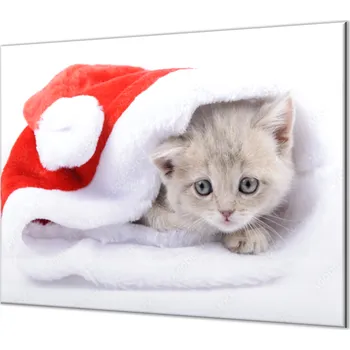 Příslušenství pro sporák Glasdekor Ochranná deska čepice Santy a malé kotě Rozměr V/Š: 40x40 cm, Lepení na zeď: Bez lepení na zeď