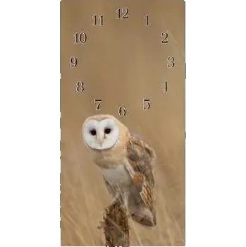 Hodiny Glasdekor Nástěnné hodiny sova pálená 30x60cm- kalené sklo Materiál: plexi