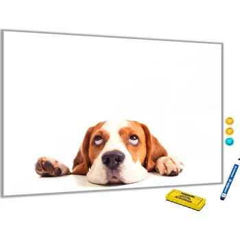 Glasdekor Metalová magnetická tabule - roztomilý pes bígl Rozměr V/Š: 40 x 60 cm