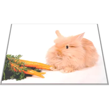 Kuchyňské prkénko Glasdekor Skleněné prkénko domácí králíček s mrkví Prkénko: 30x20cm