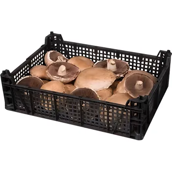 Žampiony Portobello 1.5kg