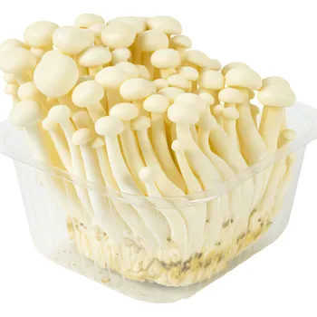 Shimeji bílé vanička 150g