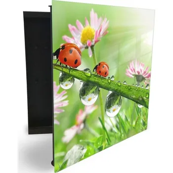 Skříňka na klíč Glasdekor skříňka na klíče - berušky na trávě s rosou a květy Otevírání: Pravé, Barva skříňky: Černá