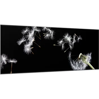 Obraz Glasdekor Obraz skleněný odkvetlá pampeliška a letící chmýří Rozměry-obdélník V/Š: 30 x 60 cm