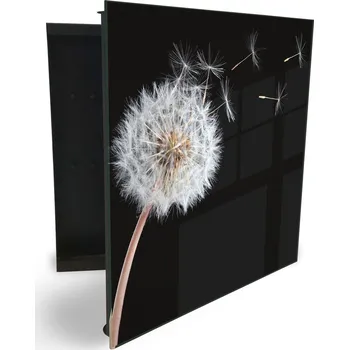 Skříňka na klíč Glasdekor skříňka na klíče - odkvetlá pampeliška na stonku Otevírání: Pravé, Barva skříňky: Bílá