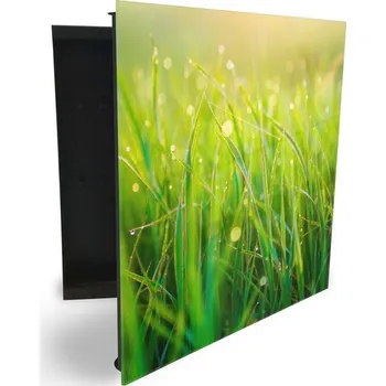 Skříňka na klíč Glasdekor skříňka na klíče - detail orosené trávy v ranním slunci Otevírání: Levé, Barva skříňky: Černá