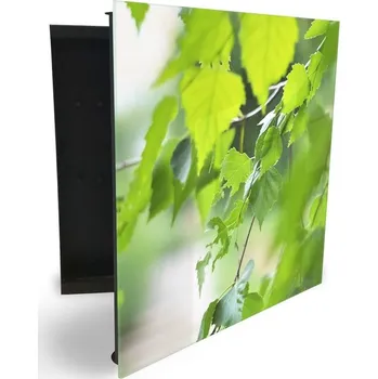 Skříňka na klíč Glasdekor skříňka na klíče - detail listí břízy Otevírání: Levé, Barva skříňky: Bílá