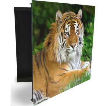 Skříňka na klíč Glasdekor skříňka na klíče - tygr zlatý Otevírání: Levé, Barva skříňky: Bílá