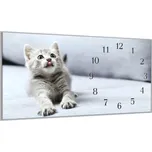 Glasdekor Nástěnné hodiny 30x60cm milé šedé kotě Materiál: plexi