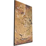 Glasdekor Nástěnné hodiny 30x60cm dřevěné letokruhy Materiál: kalené sklo