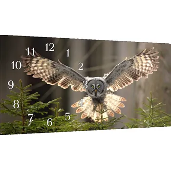 Hodiny Glasdekor Nástěnné hodiny 30x60cm letící sova Materiál: plexi