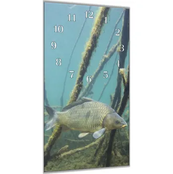 Hodiny Glasdekor Nástěnné hodiny 30x60cm kapr šupináč pod hladinou Materiál: plexi