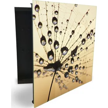 Skříňka na klíč Glasdekor skříňka na klíče - orosená pampeliška na béžovém Otevírání: Levé, Barva skříňky: Bílá