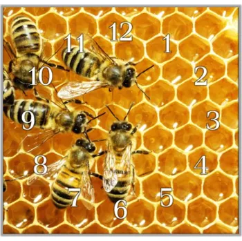 Hodiny Glasdekor Nástěnné hodiny 30x30cm včely, plástev Materiál: plexi