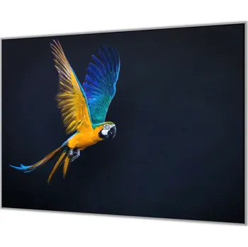Příslušenství pro sporák Glasdekor Ochranná deska letící papoušek Ara Ararauna Rozměr V/Š: 65x90 cm, Lepení na zeď: Bez lepení na zeď