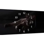 Glasdekor Nástěnné hodiny 30x60cm černá kočka na černém Materiál: plexi