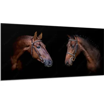 Obraz Glasdekor Obraz sklo dvě hlavy hnědého koně Rozměry-obdélník V/Š: 34 x 72 cm
