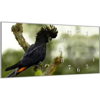 Hodiny Glasdekor Nástěnné hodiny 30x60cm papoušek kakadu havraní Materiál: plexi