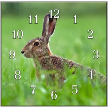 Hodiny Glasdekor Nástěnné hodiny 30x30cm zajíc v trávě Materiál: plexi