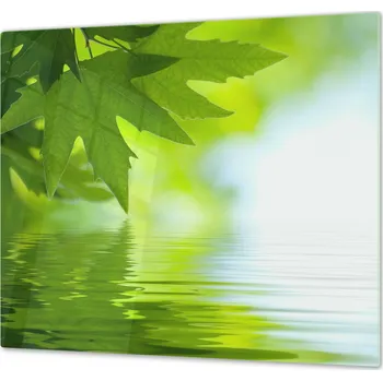 Příslušenství pro sporák Glasdekor Ochranná deska listy nad hladinou vody Rozměr V/Š: 40x40 cm, Lepení na zeď: Bez lepení na zeď