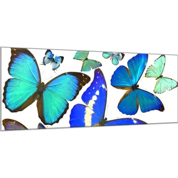 Obraz Glasdekor Obraz skleněný modrý motýl Rozměry-obdélník V/Š: 30 x 60 cm