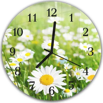 Hodiny Glasdekor Nástěnné hodiny kulaté pr.30cm bílé kopretin na zelené louce Materiál: plexi