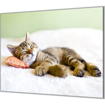 Kuchyňské prkénko Glasdekor Ochranná deska do kuchyně spící kotě Rozměr V/Š: 50x70 cm, Lepení na zeď: Bez lepení na zeď