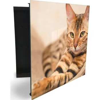 Železářství Glasdekor skříňka na klíče - ležící kočka Otevírání: Levé, Barva skříňky: Černá