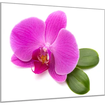 Obraz Glasdekor Obraz skleněný čtvercový květ fialové orchideje a list Rozměry-čtverec: 34 x 34 cm