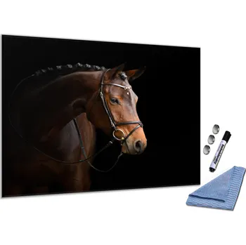 Kancelářský nábytek Skleněná magnetická tabule - hnědý kůň Rozměr V/Š: 30x40cm